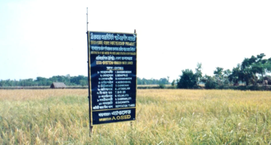 project-details-banner